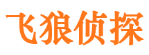 尼木找人公司